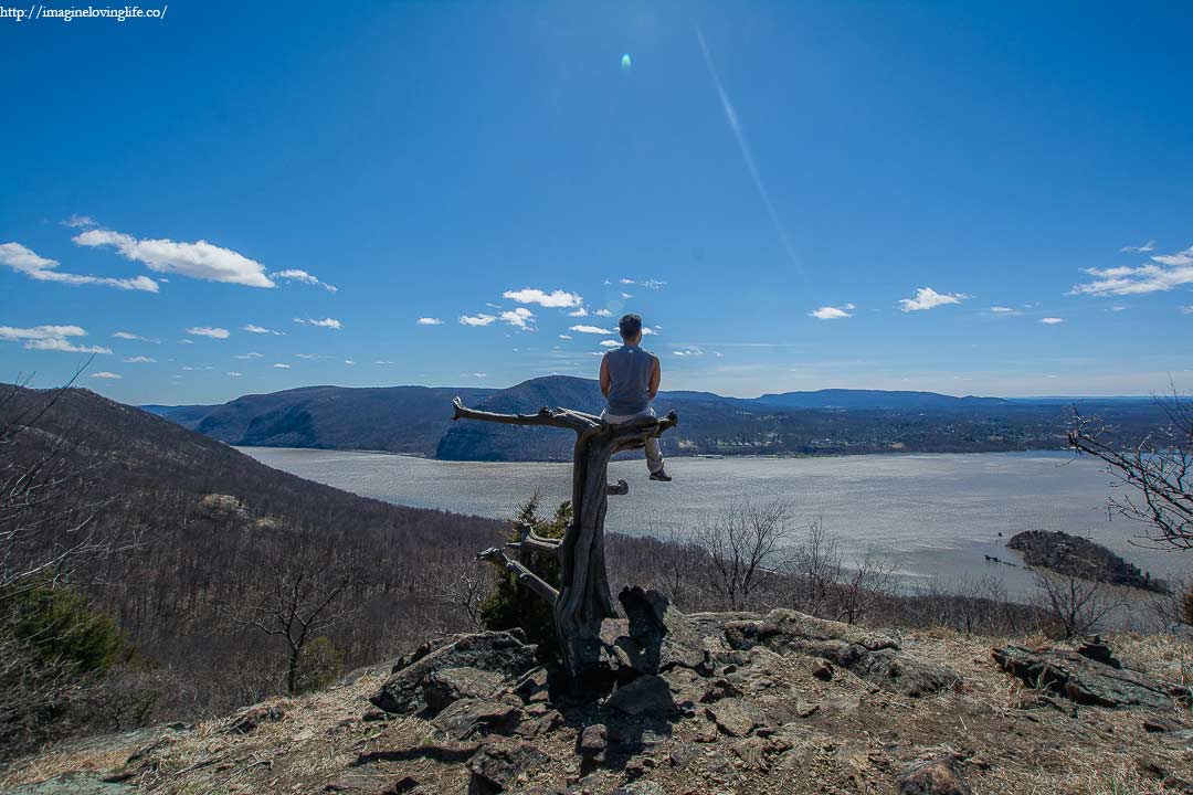 Sugarloaf Mountain Tree